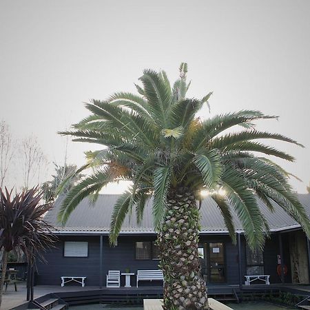 Hugo & Carters Backpackers & Motel Tauranga Exteriör bild The pool at the hotel