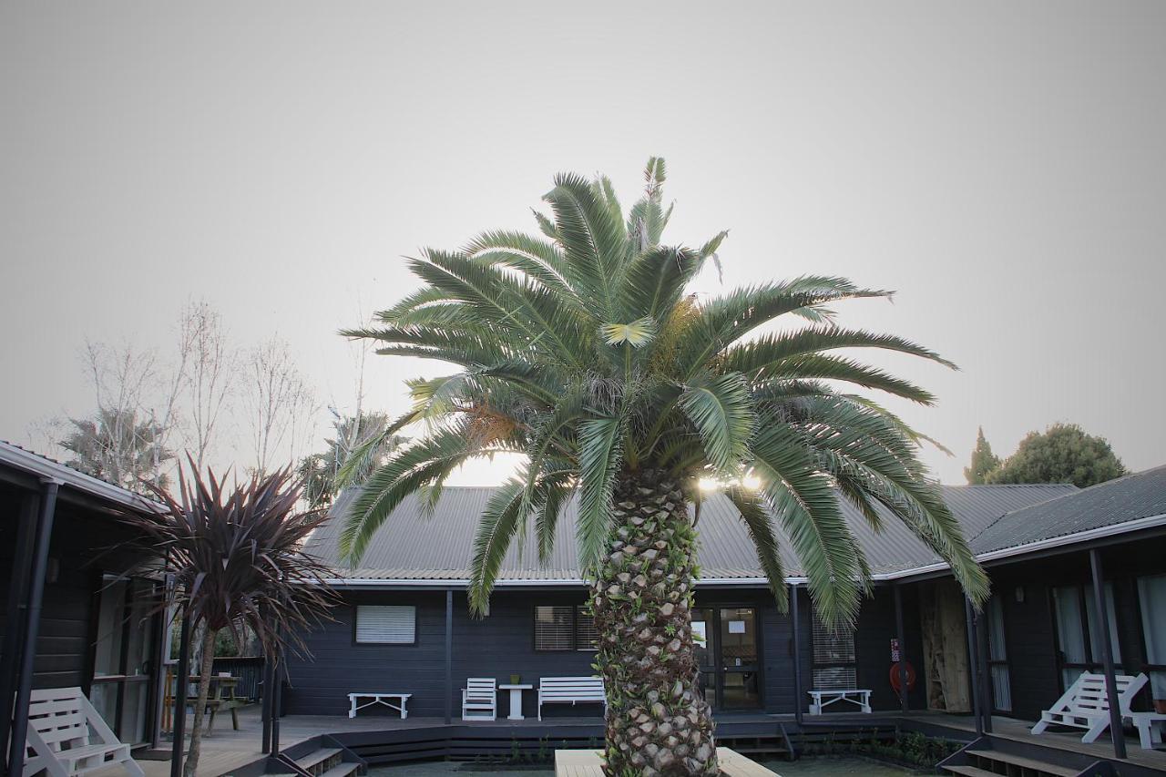 Hugo & Carters Backpackers & Motel Tauranga Exteriör bild The pool at the hotel