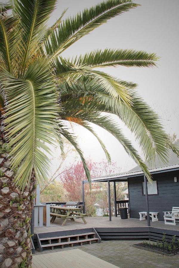 Hugo & Carters Backpackers & Motel Tauranga Exteriör bild Phoenix canariensis
